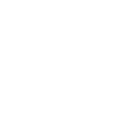 Icon Medical